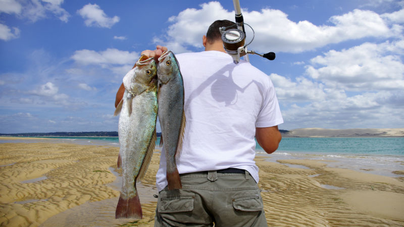 Experience Unforgettable Fishing Trips in Oakley, CA