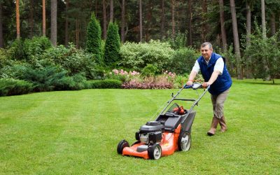 3 Reasons Why You Should Hire Lawn Care Services in Charlotte NC