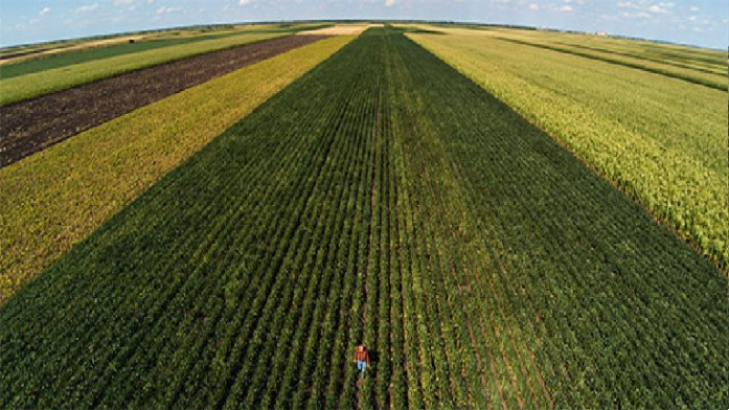 Facilitate Carbon Removal Using Strategic Soil Additions Fron Mazor, Israel