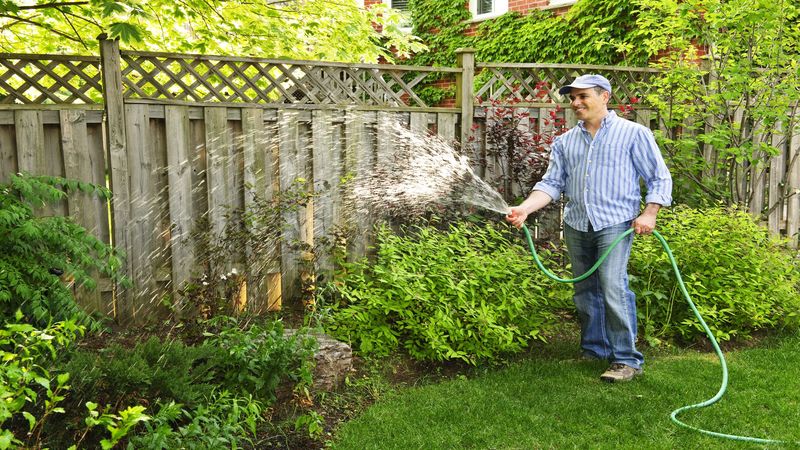 Exploring the Role of Organic Lawn Fertilizer