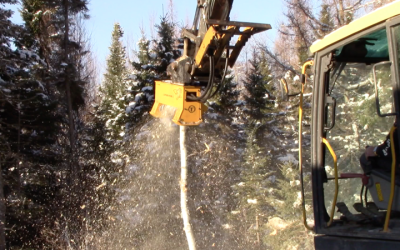 Getting a Mulcher for an Excavator