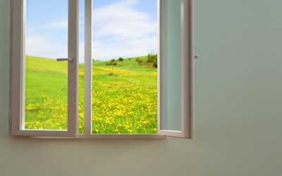 A Local Business is Ready to Give You a Solid Deal On Retrofit Windows in Orange County, CA