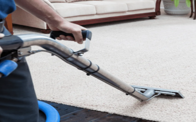 The Importance of Regular Carpet Cleaning Services near Thornton, CO