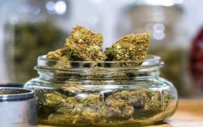 Your Guide to the Best Cannabis Options at Dispensary in Riverside CA